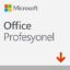MICROSOFT OFFICE PRO 2021 - ESD 269-17190 resmi