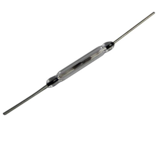 REED SWİTCH 36MM (IC-228) resmi