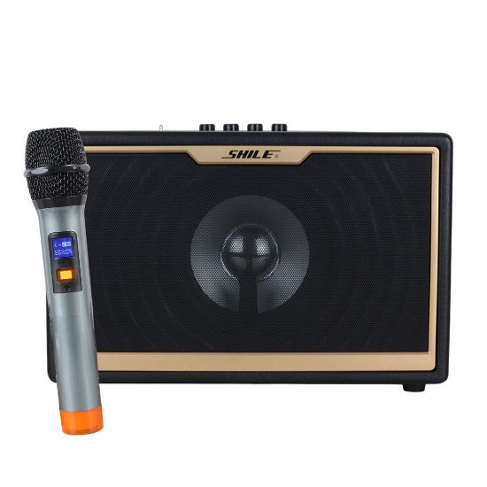 SHILE SD-1 EL MİKROFONLU KUMANDALI USB+SD+BT SEYYAR PORTATİF ANFİ resmi