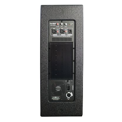 PROMAIN MS-1012GA 500 WATT 30 CM AKTİF AHŞAP KABİN HOPARLÖR resmi