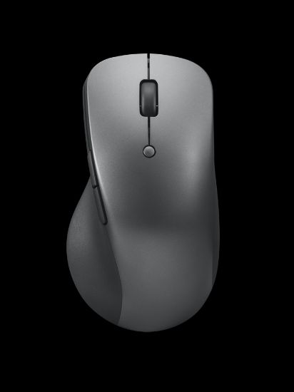 LENOVO PROFESSIONAL KABLOSUZ MOUSE 4Y51J62544 resmi