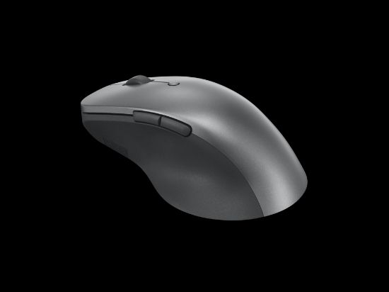 LENOVO PROFESSIONAL KABLOSUZ MOUSE 4Y51J62544 resmi