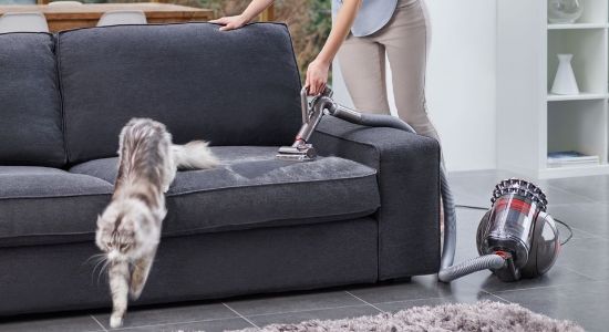 DYSON CINETIC BIG BALL ABSOLUTE 2 700W SUPURGE resmi