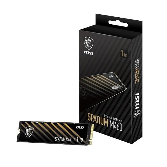 MSI SPATIUM M460 1TB PCIE 4.0 NVME M.2 SSD resmi