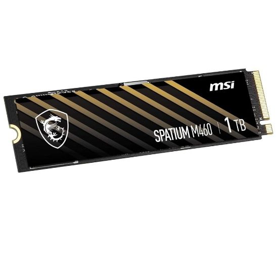 MSI SPATIUM M460 1TB PCIE 4.0 NVME M.2 SSD resmi