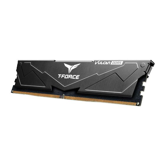 Team T-Force Vulcan Black 32GB 2x16GB Ram (FLBD532G6000HC38JDC01) resmi