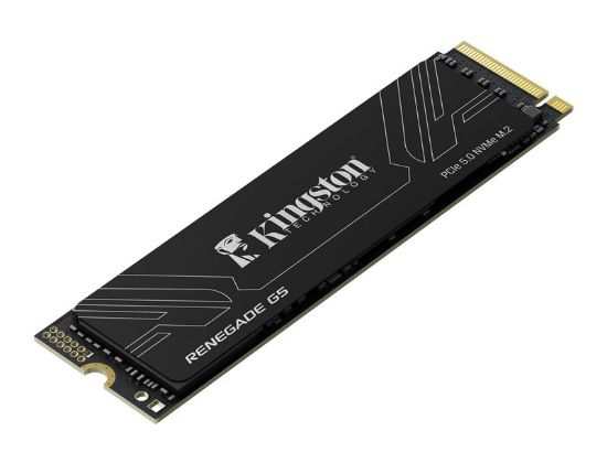 1TB KINGSTON RENEGADE SRNG2S/1T0 14200/11000/MBs PCIe 5.0 NVMe SSD resmi