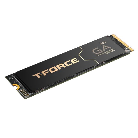 Team T-Force GA Pro 1TB 10000/8500MB/s NVMe PCIe Gen5x4 M.2 SSD Disk (TM8FFJ001T0C129) resmi