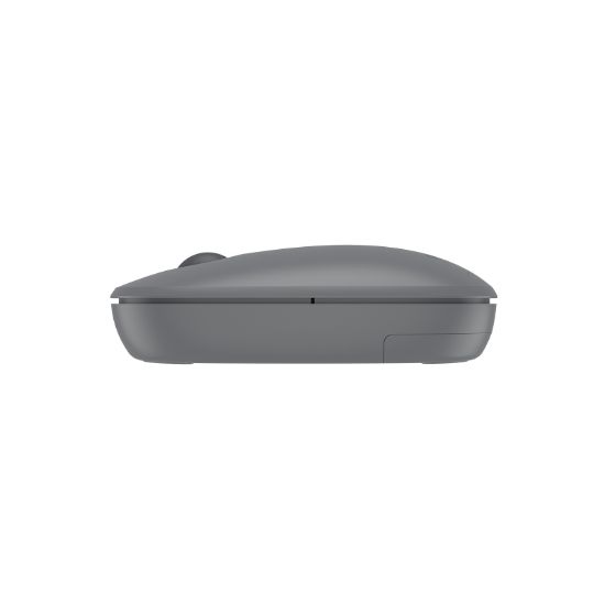 PHILIPS KABLOSUZ  MOUSE SPK7378G GRİ resmi