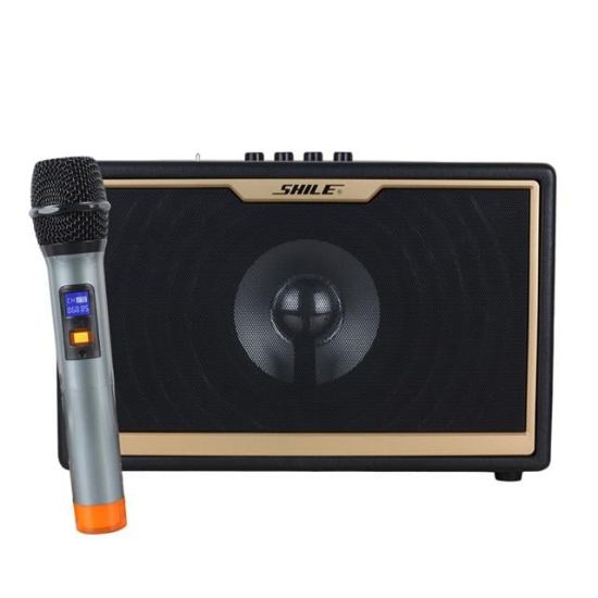 SHILE SD-1 EL MİKROFONLU KUMANDALI USB+SD+BT SEYYAR PORTATİF ANFİ resmi