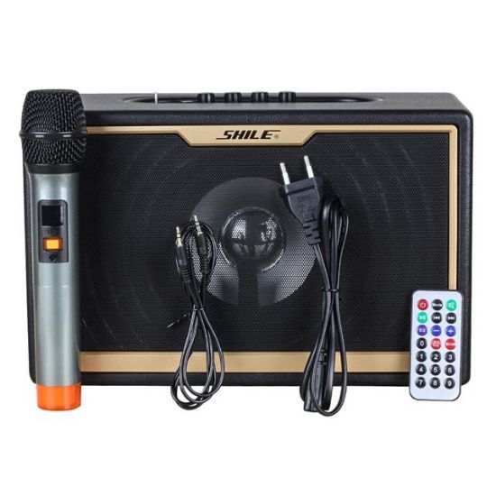 SHILE SD-1 EL MİKROFONLU KUMANDALI USB+SD+BT SEYYAR PORTATİF ANFİ resmi