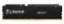 32GB DDR5 CL36 6400MHz KF564C32BBE-32TR KINGSTON BEAST 1x32G resmi