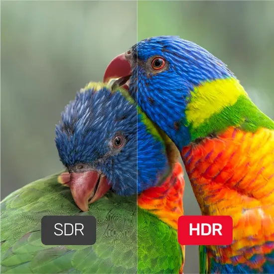 UNITEK DISPLAY PORT 1.4 KABLO 2MT 8K (C1624BK-2M) resmi