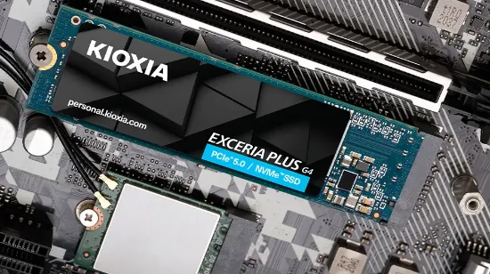 2TB KIOXIA EXCERIA PLUS G4 M.2 NVMe GEN5 10000/8200MB/s LVD10Z002TG8  resmi