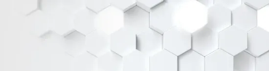 1TB KIOXIA EXCERIA PLUS G4 M.2 NVMe GEN5 10000/7900MB/s LVD10Z001TG8  resmi