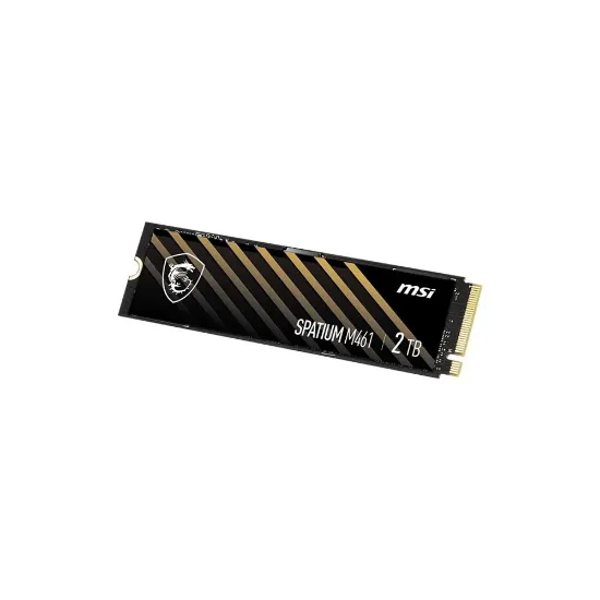 MSI SPATIUM M461 2TB PCIE 4.0 NVME M.2 SSD resmi