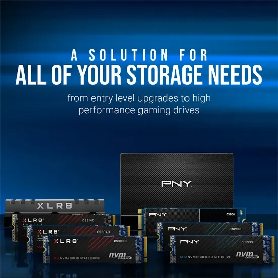 PNY CS900 500GB 535/500MB/s 2,5" SATA3 SSD (SSD7CS900-500-RB) resmi