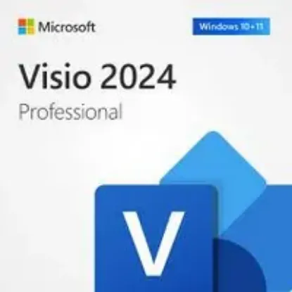 MİCROSOFT VİSİO PRO 2024 - ESD EP2-07110 resmi