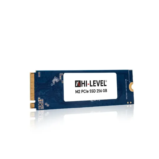256GB HI-LEVEL HLV-M2PCIeSSD2280/256G NVMe SSD resmi