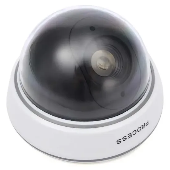 Powermaster PM-2001 Kırmızı Ledli Maket Dome Kamera resmi