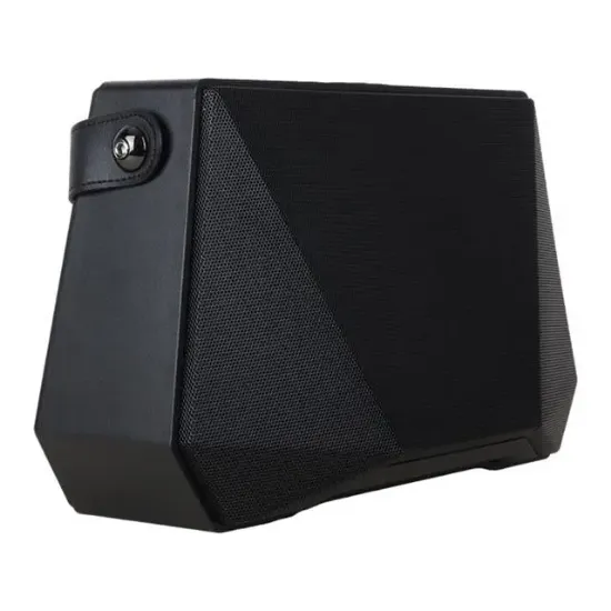 Shile SL-3A İki El Mikrofonlu Kumandalı USB/SD/BT Portatif Hoparlör resmi