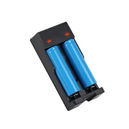 Powermaster PMR-988 4.2 Volt 2 x 1200 Mah Pil Şarj Cihazı resmi