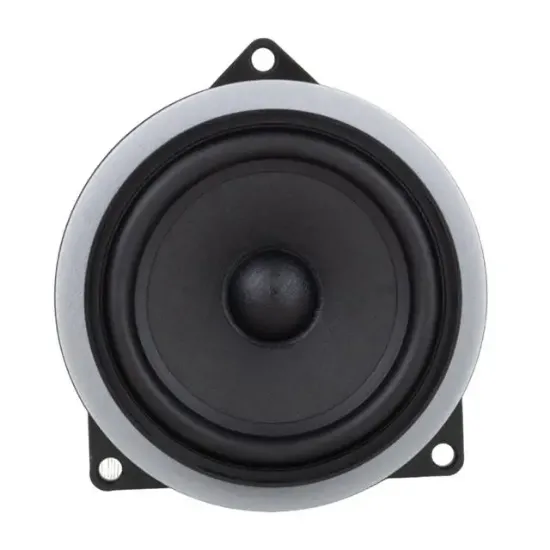 Leone B-4mw 10 Cm 50 Watt Max 100 Watt Oto Hoparlör (Magnet: 60x10mm) resmi