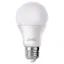Powermaster PMLED-12 10 Watt 12 Volt 6500K Led Ampul resmi