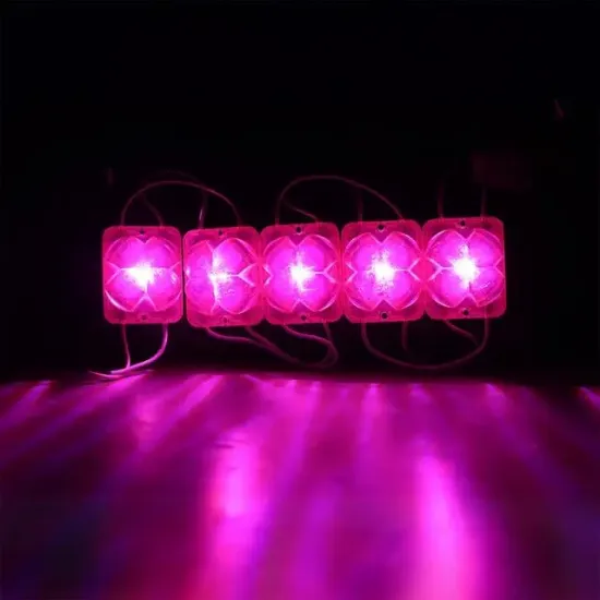 Powermaster PM-14716 12 Volt 2 Watt Pembe Yanıp Sönen Çakar 4333-3030 Modül Led 43x33x28mm resmi