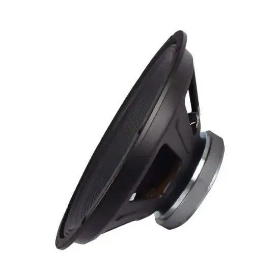 Magicvoice MV-12 Maks.600 Watt / Rms 300 Watt 12” Siyah 30 Cm Woofer Yedek Hoparlör resmi