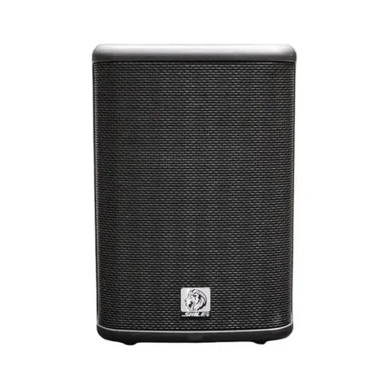 Shile PM-8AU 120W RMS 8" Şarjlı Taşınabilir Aktif Kabin Hoparlör DSP, TWS, Bluetooth, MP3 Destekli resmi