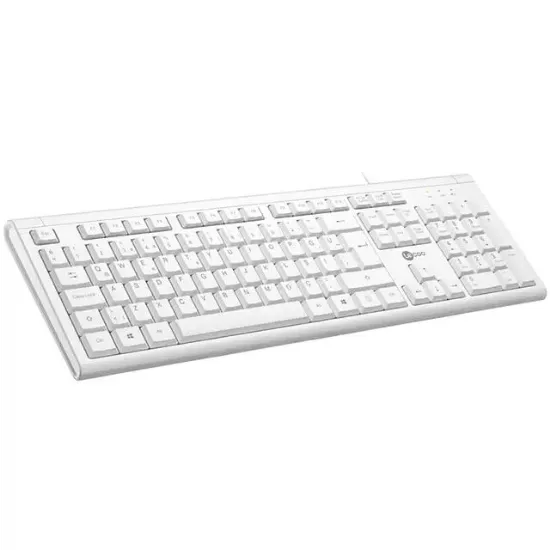 Lenovo Lecoo KB101 USB Kablolu Beyaz TÜRKÇE Q Klavye  resmi