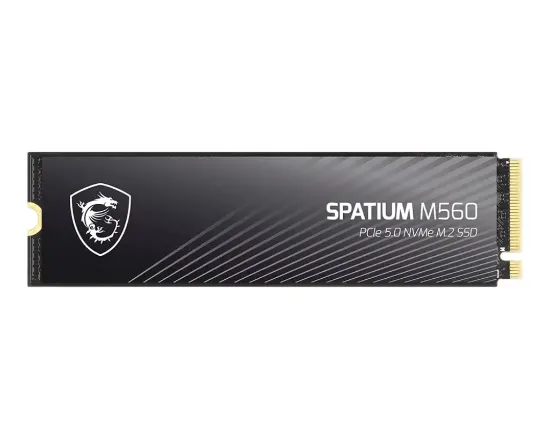 2TB MSI SPATIUM M560 PCIE 5.0 NVME M2 10300/8700MB/s resmi