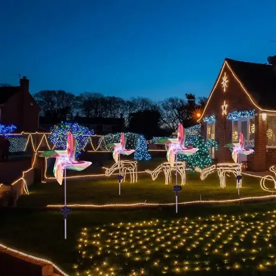 Powermaster PM-29310 Dc 5 Volt Solar Rüzgar Gülü Led Bahçe Aydınlatma 2'li Paket resmi