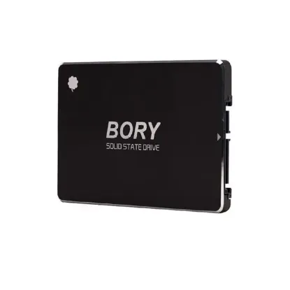 Bory R500-C256G Sata3 256 Gb SSD 550/510 Mbs Harddisk resmi