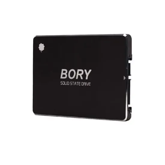 Bory R500-C256G Sata3 256 Gb SSD 550/510 Mbs Harddisk resmi